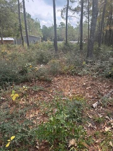 0 Basswood Lane, Plantersville, TX 77363