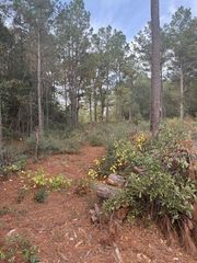 0 Basswood Lane, Plantersville, TX 77363