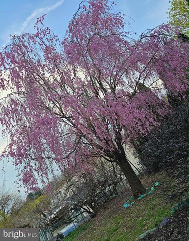 225 CHERRY ST, Saint Clair, PA 17970