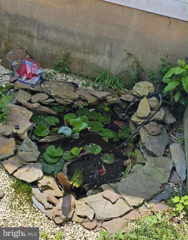 225 CHERRY ST, Saint Clair, PA 17970