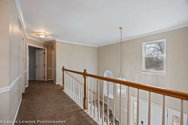 248 Bobolink Drive, Grayslake, IL 60030