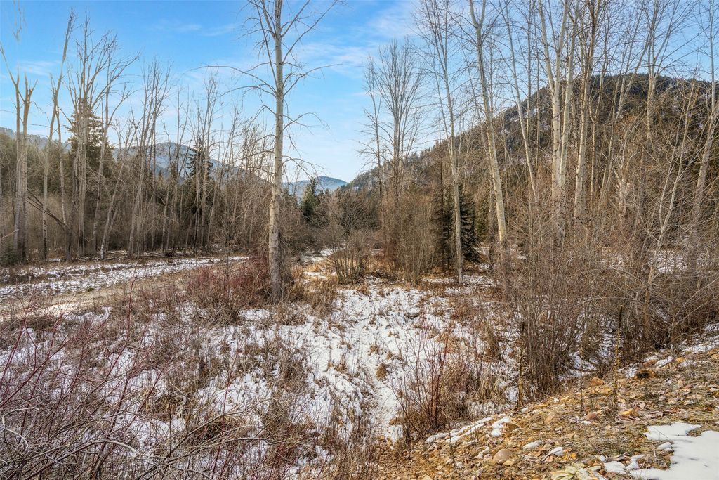 103 Little Joe Creek Road, St Regis, MT 59866 photo 15