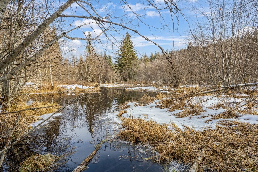 103 Little Joe Creek Road, St Regis, MT 59866 photo 2