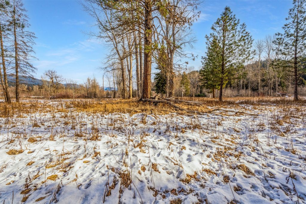 103 Little Joe Creek Road, St Regis, MT 59866 photo 22