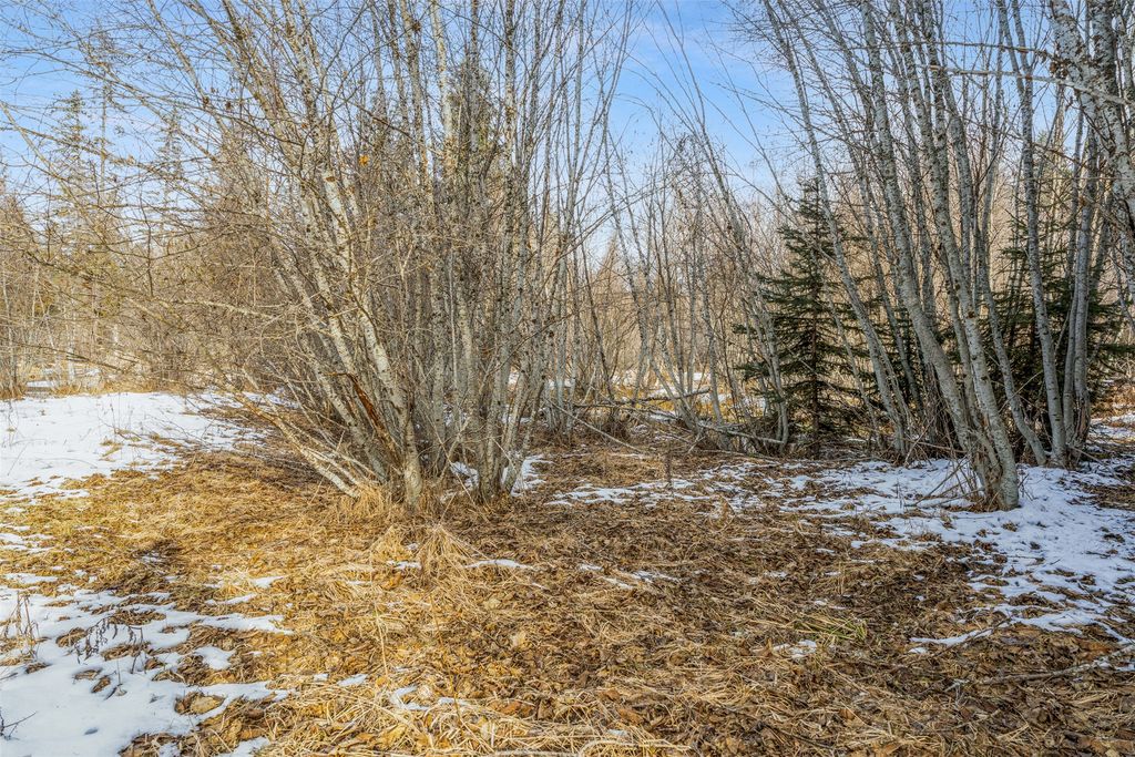 103 Little Joe Creek Road, St Regis, MT 59866 photo 24