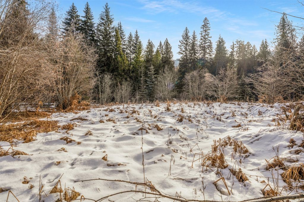 103 Little Joe Creek Road, St Regis, MT 59866 photo 25