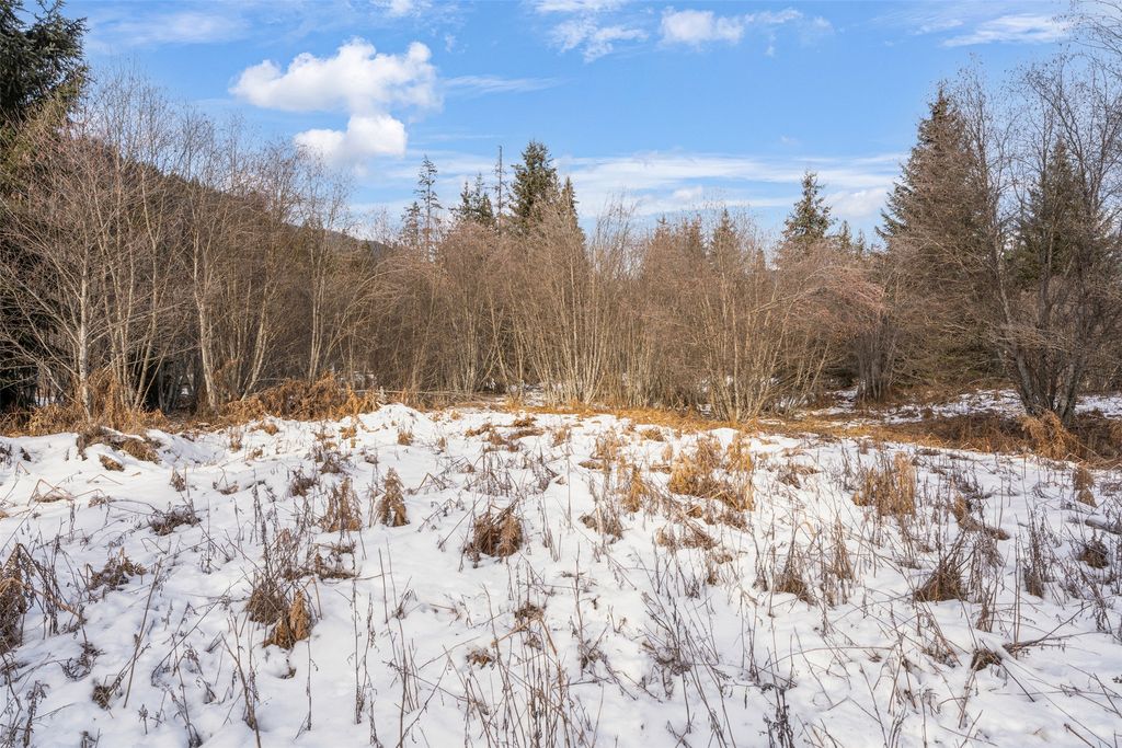 103 Little Joe Creek Road, St Regis, MT 59866 photo 27