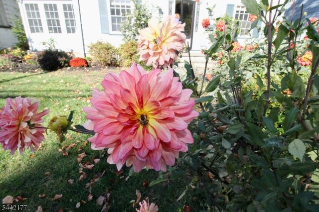 24 College Ave, Montclair Twp., NJ 07043