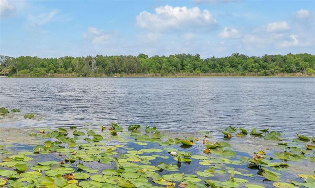 1841 LAKE SPIER DRIVE, Winter Park, FL 32789