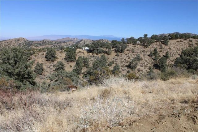 7935 Scenic, Pinon Hills, CA 92397
