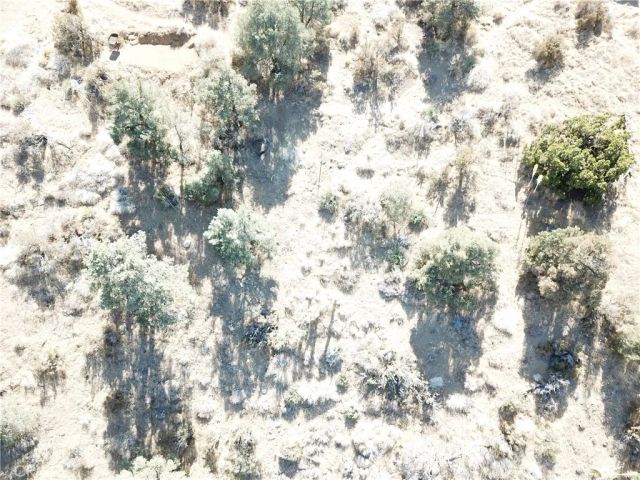 7935 Scenic, Pinon Hills, CA 92397