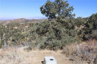 7935 Scenic, Pinon Hills, CA 92397