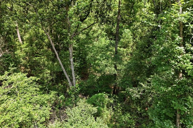 TBD Coleman Drive, Splendora, TX 77372