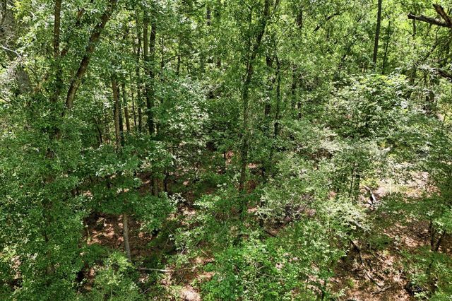 TBD Coleman Drive, Splendora, TX 77372