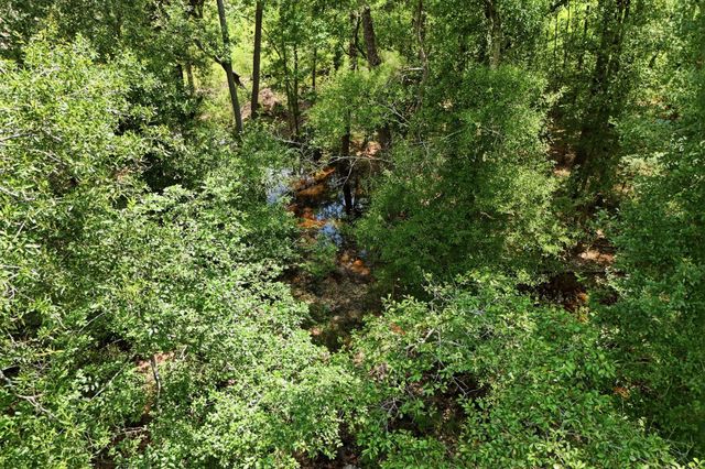 TBD Coleman Drive, Splendora, TX 77372