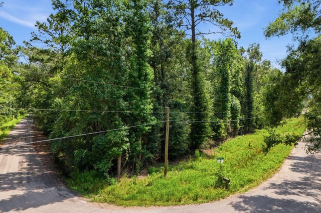 TBD Coleman Drive, Splendora, TX 77372