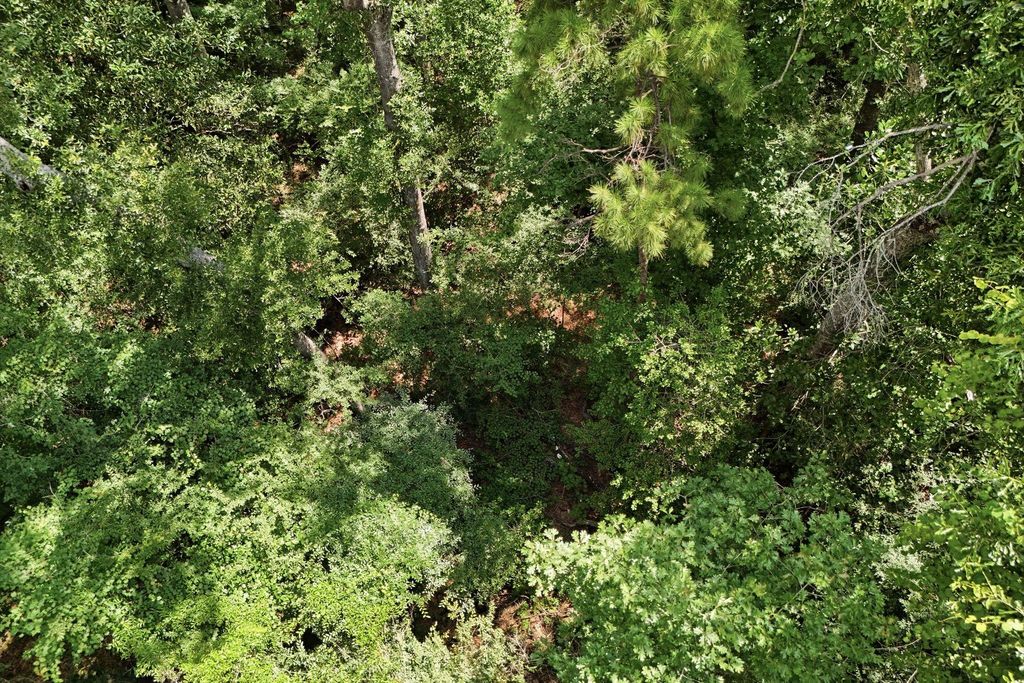 TBD Coleman Drive, Splendora, TX 77372