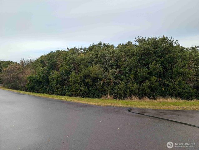 430 -446 Salina Cruz Avenue, Ocean Shores, WA 98569