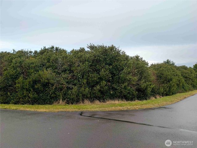 430 -446 Salina Cruz Avenue, Ocean Shores, WA 98569