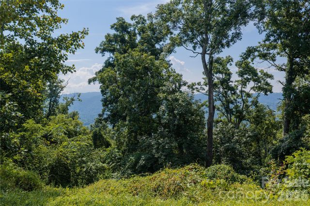 59 Longstreet Court 10, Weaverville, NC 28787