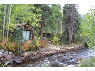 223 Riverside Drive, Lyons, CO 80540