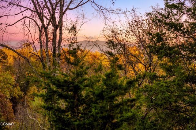 3037 Ridge Top Resort Way, Pigeon Forge, TN 37863