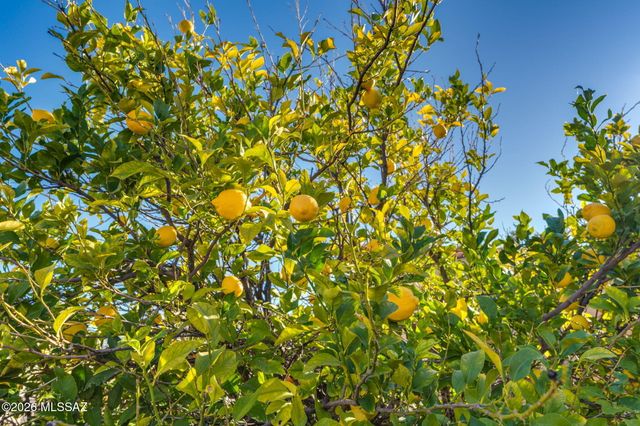 679 W Sunlight Lane, Tucson, AZ 85704