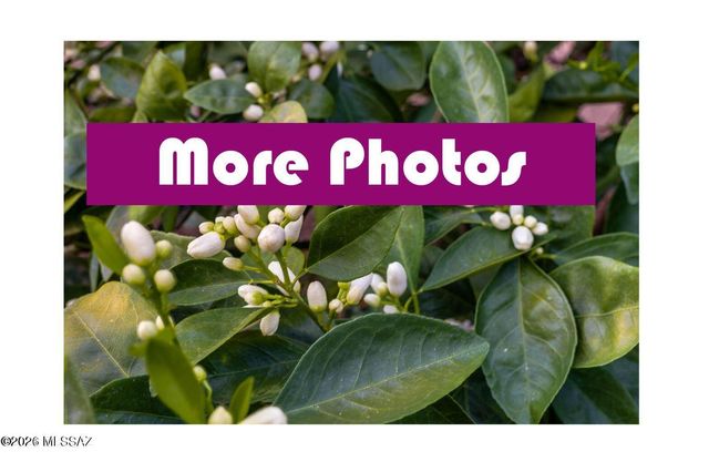 679 W Sunlight Lane, Tucson, AZ 85704