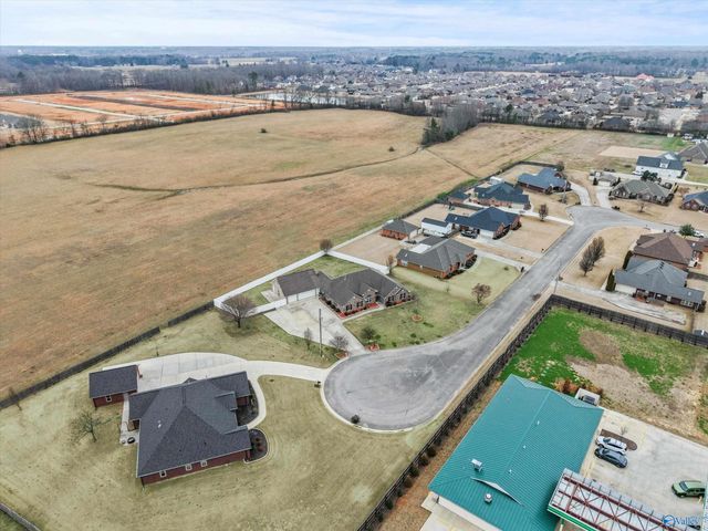 16805 Georgie Edith Lane, Athens, AL 35613