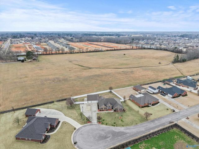 16805 Georgie Edith Lane, Athens, AL 35613