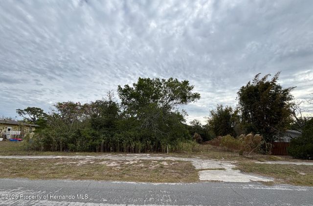 6330 Kelvin Court, Spring Hill, FL 34606