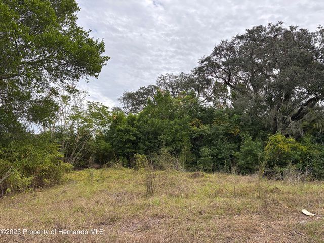 6330 Kelvin Court, Spring Hill, FL 34606