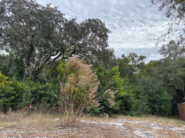 6330 Kelvin Court, Spring Hill, FL 34606