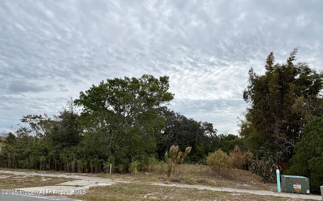 6330 Kelvin Court, Spring Hill, FL 34606