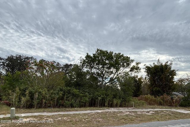 6330 Kelvin Court, Spring Hill, FL 34606