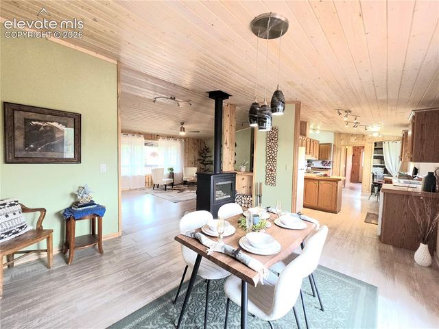 891 S Mountain Estates Road, Florissant, CO 80816