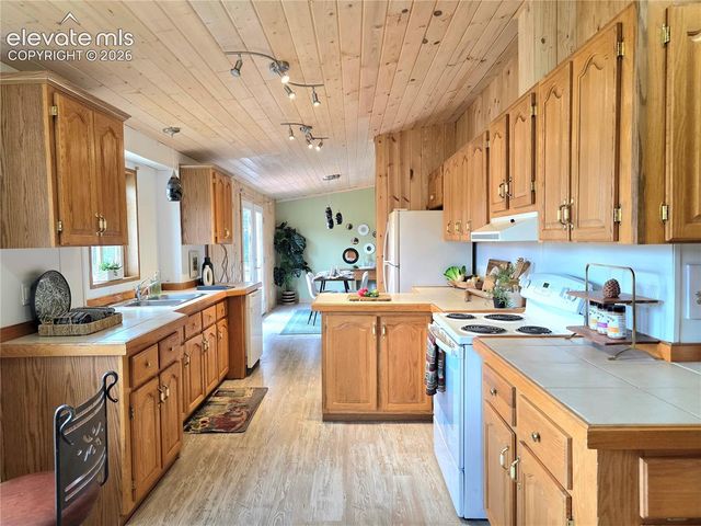 891 S Mountain Estates Road, Florissant, CO 80816