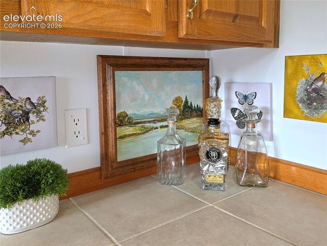 891 S Mountain Estates Road, Florissant, CO 80816