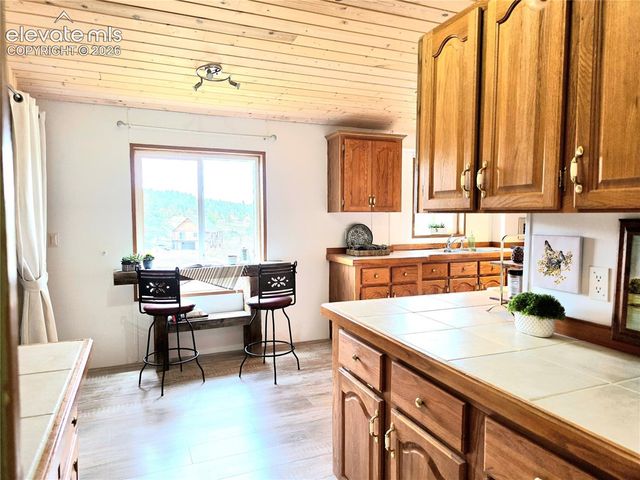 891 S Mountain Estates Road, Florissant, CO 80816