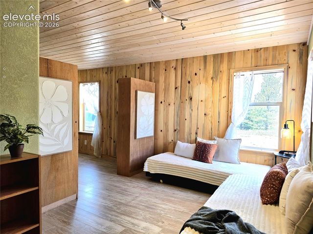 891 S Mountain Estates Road, Florissant, CO 80816