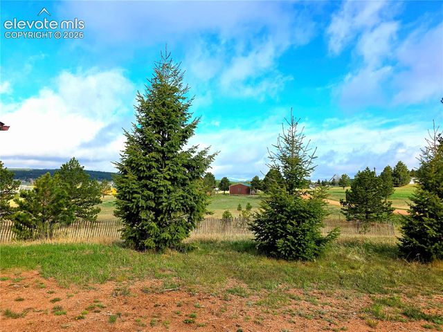891 S Mountain Estates Road, Florissant, CO 80816
