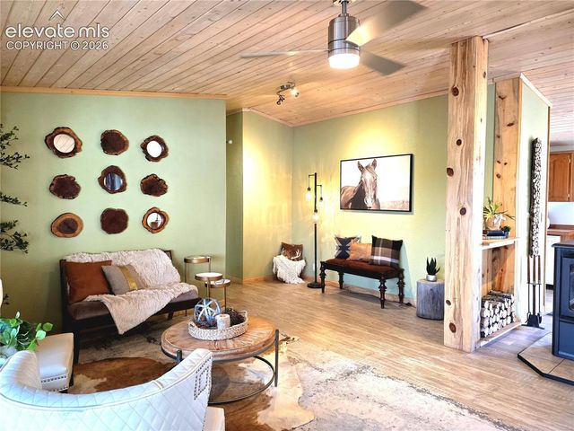 891 S Mountain Estates Road, Florissant, CO 80816