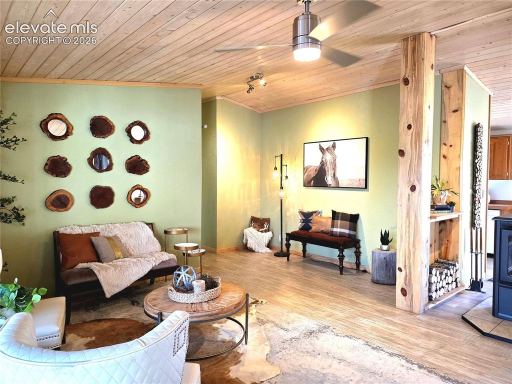 891 S Mountain Estates Road, Florissant, CO 80816 — photo 4