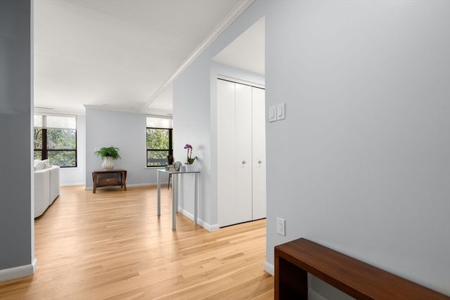 210 Nahanton St 219, Newton, MA 02459