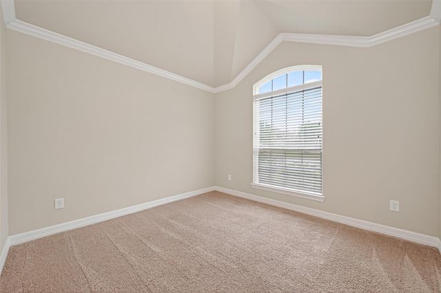 2517 Wood Park Boulevard, Conroe, TX 77304