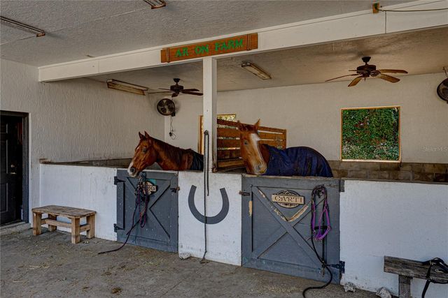 209 FRENCHMANS CREEK WAY, Winter Haven, FL 33884