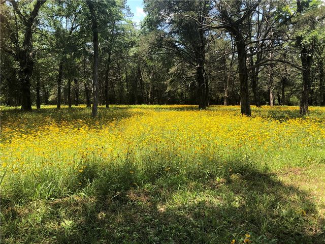 10314 County Road 417A, Navasota, TX 77868