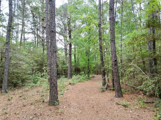 10314 County Road 417A, Navasota, TX 77868