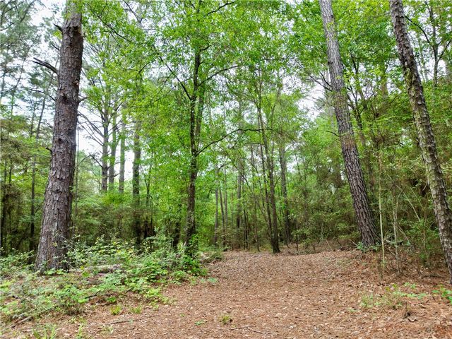 10314 County Road 417A, Navasota, TX 77868