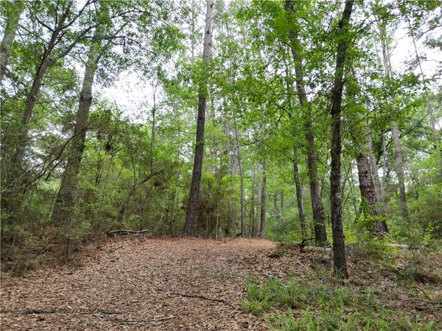 10314 County Road 417A, Navasota, TX 77868